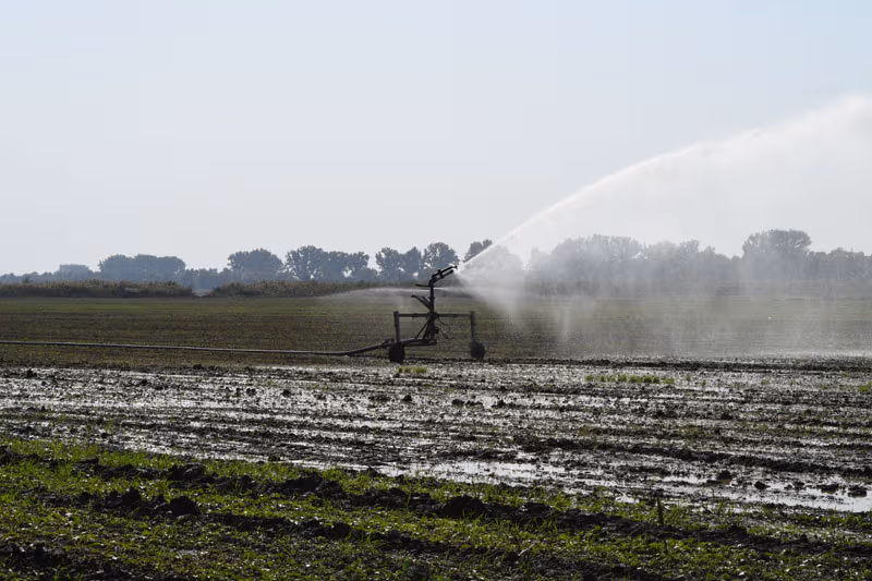 Irrigation