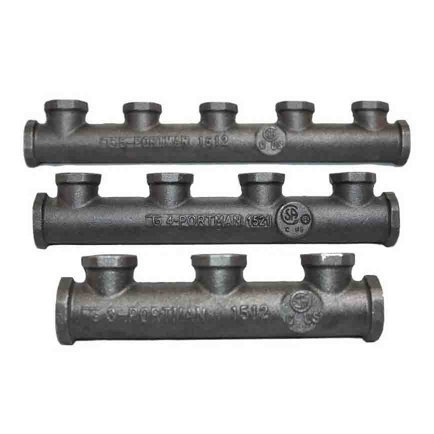 Manifold